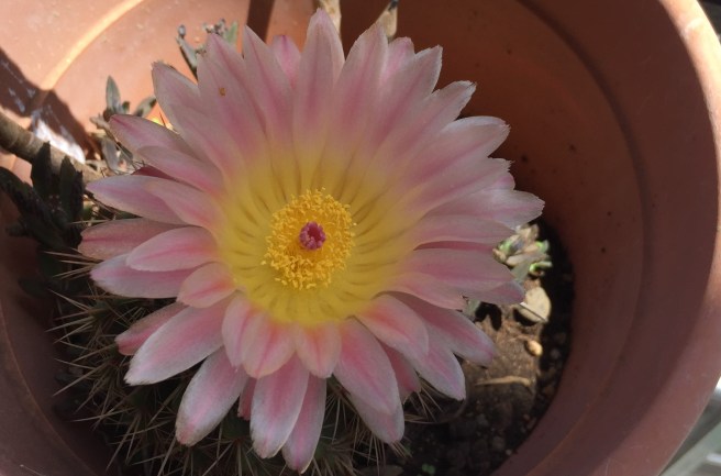 CONSAPEVOLEZZA E RESPONSABILITA’ EDUCATIVA