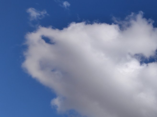 IL BAMBINO RIEVOCA IL NOSTRO&nbsp;PASSATO